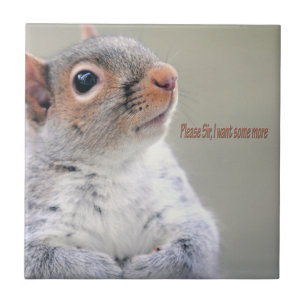 Carreau Oliver Twist Squirrel