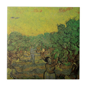 Carreau Olivier Grove avec les chiffres de cueillette, Vin