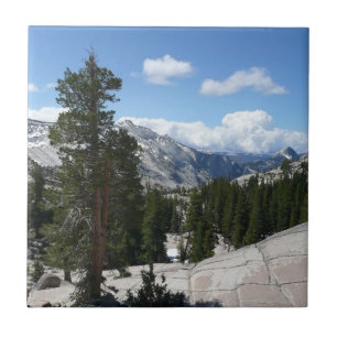 Carreau Olmsted Point III dans le parc national de Yosemit
