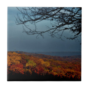 Carreau Ombre d'automne