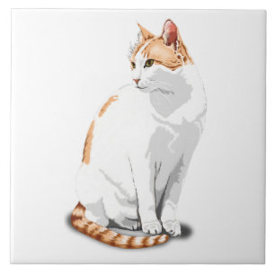 Carreau Orange Gingembre et Chat Blanc Personnalisé