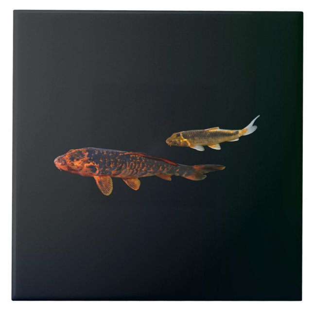 Carreau Orange Koi et Gold Koi (Devant)