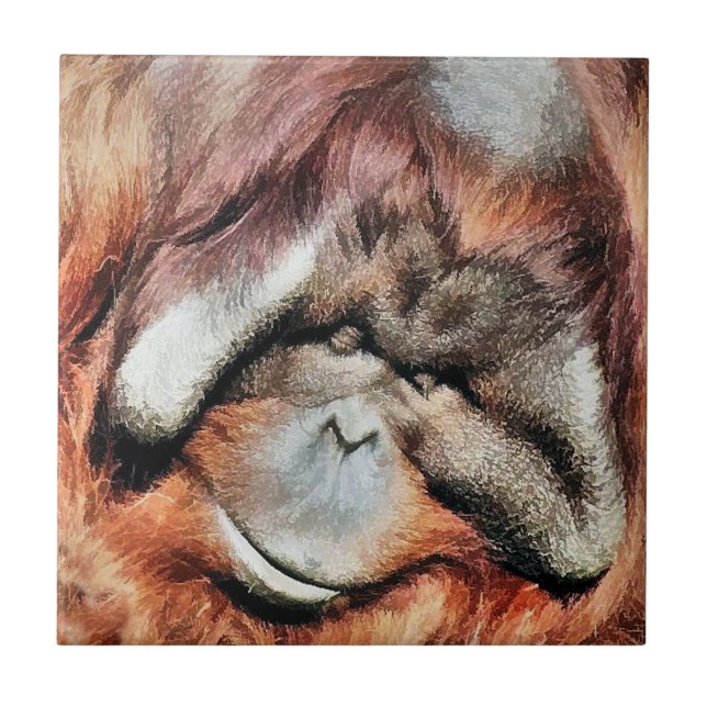 CARREAU ORANGUTAN (Devant)