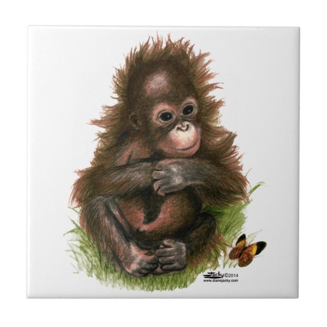 Carreau Orangutan Baby and Butterfly (Devant)