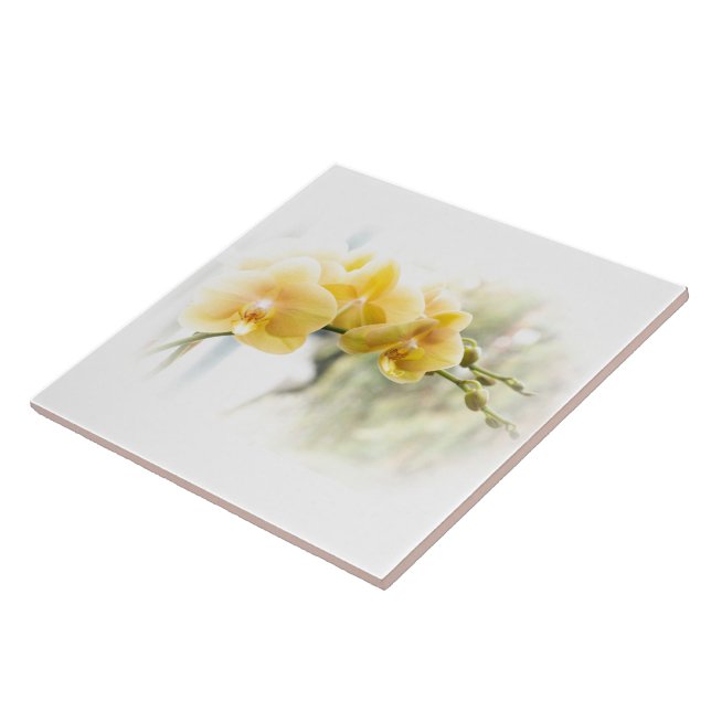 Carreau Orchidée à papillon jaune sous le soleil (Côté)