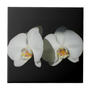 Carreau Orchidée blanche, fleurs blanches tropicales