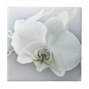 Carreau Orchidée blanche Phalaenopsis