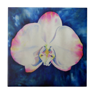 Carreau Orchidée Rouge Clair