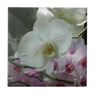 Carreau Orchidées blanches et violettes