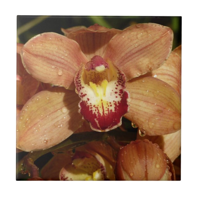 Carreau Orchidées de Pêche avec Raindrops Floral (Devant)
