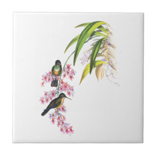 Carreau Orchidées et colibris roses de John Gould