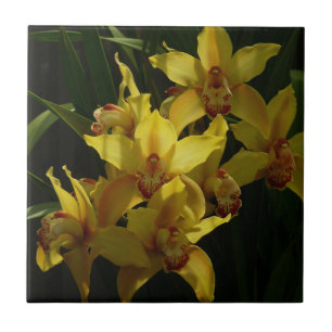 Carreau Orchidées Jaunes Sunlit Floral