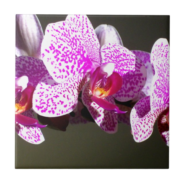 Carreau Orchidées rose romantique rose tropicale photo (Devant)