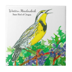Carreau Oregon Souvenir Meadowlark Botanique