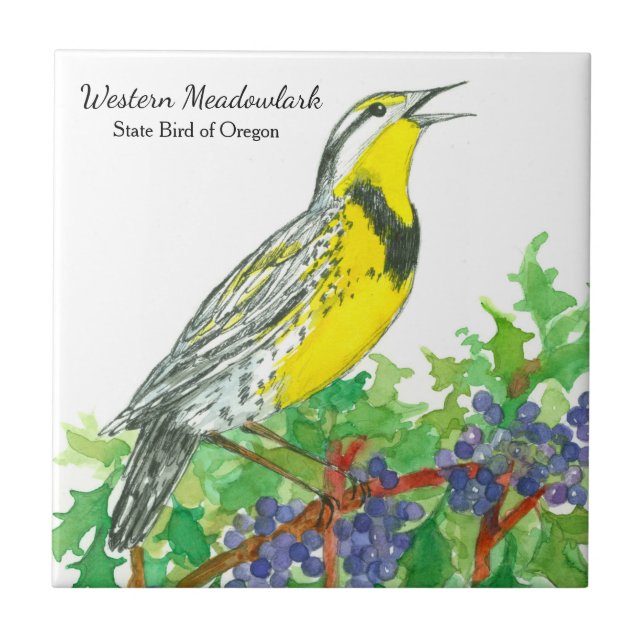 Carreau Oregon Souvenir Meadowlark Botanique (Devant)