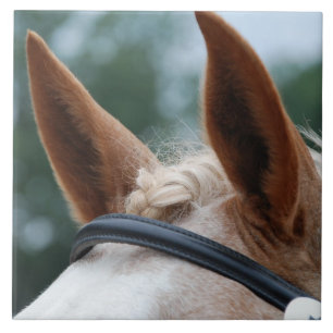 Carreau oreilles de cheval