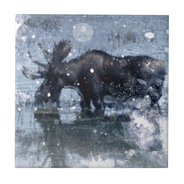 Carreau orignaux de taureau de faune de région sauvage (Devant)