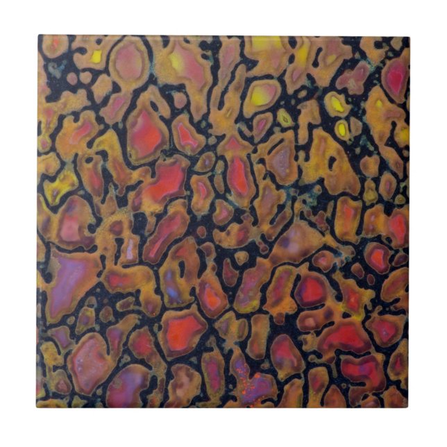 Carreau Os de dinosaure à motifs (Devant)