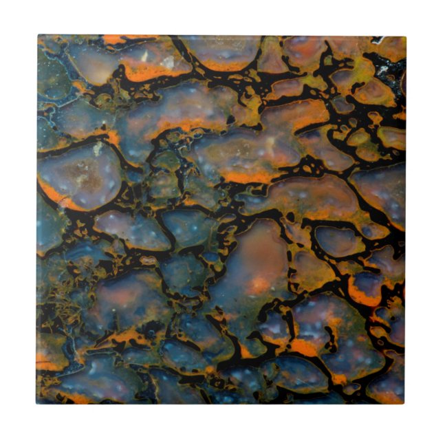 Carreau Os de dinosaure d'Orange Petrifié (Devant)