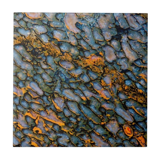 Carreau Os de dinosaure pétrifié (Devant)