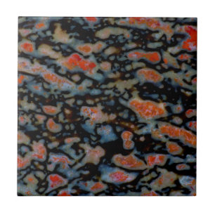 Carreau Os de dinosaure petrifié coloré