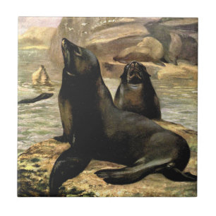 Carreau Otaries de Californie par CE Swan, Animaux Vintage