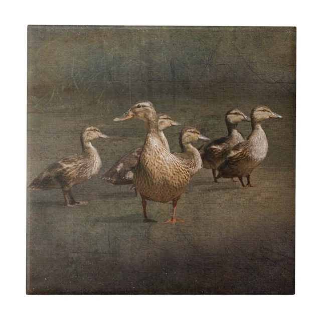 Carreau Où maintenant ? (Devant)