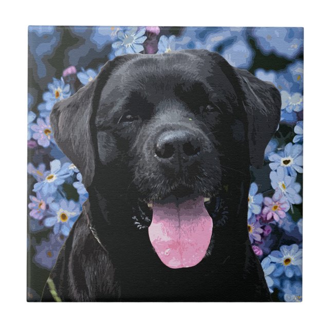 Carreau Oubliez-moi le noeud - Black Labrador (Devant)