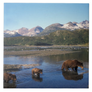 Carreau Ours brun, grizzly, truie et oursons dans