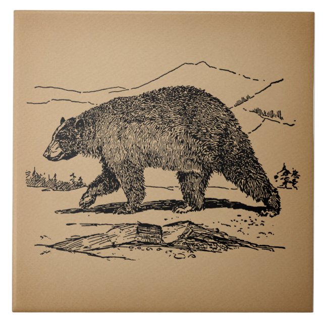 Carreau Ours d'époque Illustré Ours Vintage (Devant)