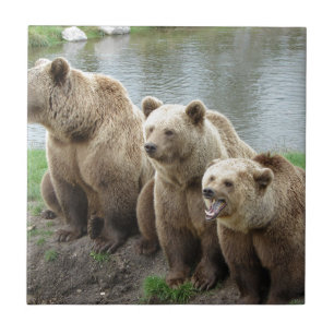 Carreau Ours ours animal personnalisé anniversaires person