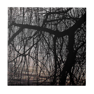 CARREAU OUVRIR DES ARBRES SAUVAGES