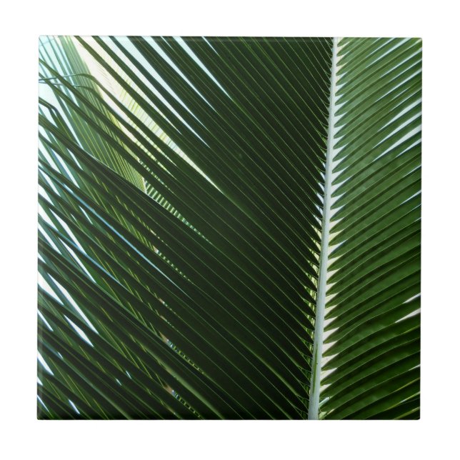 Carreau Overlapping Palm Fronds Tropical Green Abstract (Devant)