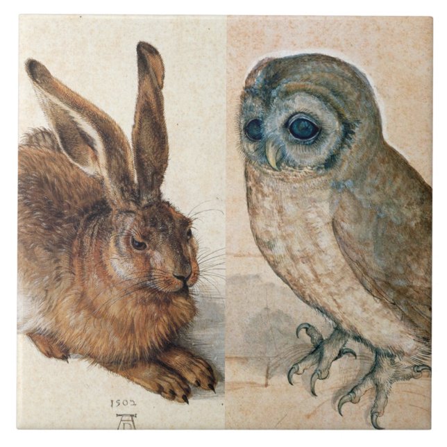 Carreau OWL AND RABBIT ( Jeune lièvre ) par Albrect Durer (Devant)