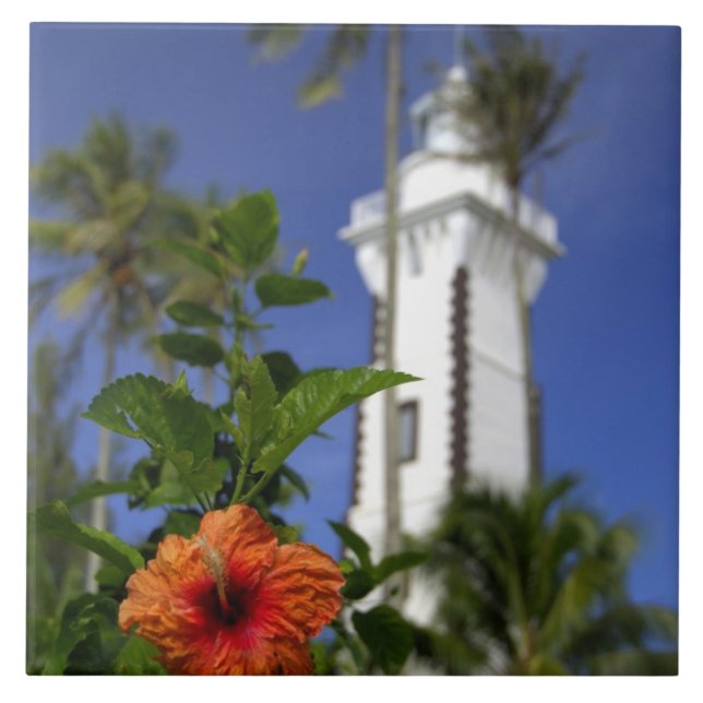 Carreau Pacifique Sud, Polynésie française, Tahiti. Hibisc (Devant)