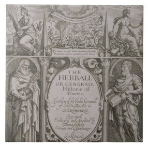 Carreau Page titre à la deuxième édition 'du Herball