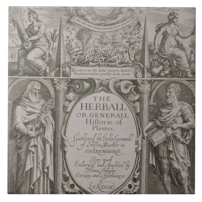 Carreau Page titre à la deuxième édition 'du Herball (Devant)