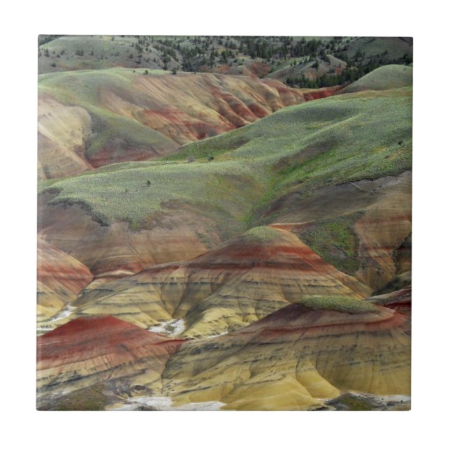 Carreau PainPeinture Hills, John Day Fossil Beds, Mitchell (Devant)
