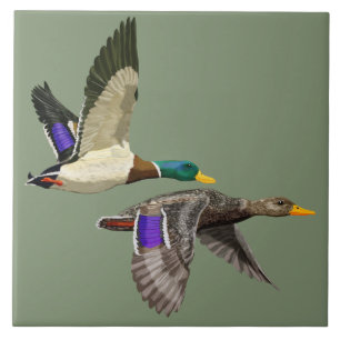 Carreau Paire de canard de Mallard en vol