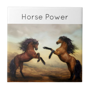 Carreau paire de chevaux sauvages