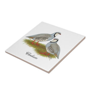 Carreau Paire de perdrix de Chukar