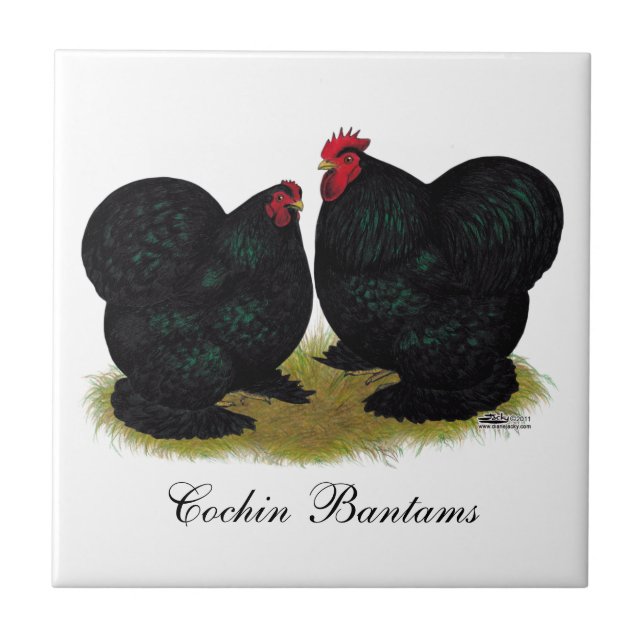 Carreau Paires petites noires de Cochins (Devant)