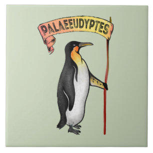 Carreau Palaeeudyptes Pingouin disparu