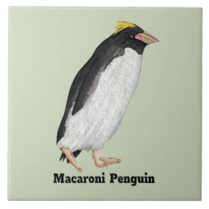 Carreau Palaeeudyptes Pingouin disparu