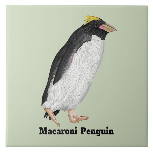 Carreau Palaeeudyptes Pingouin disparu (Devant)