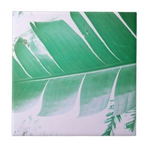 Carreau Pale Green Pastel Banana Tree Leaf Adulte