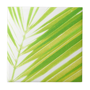 Carreau Pale Green Pastel Palm Feuilles