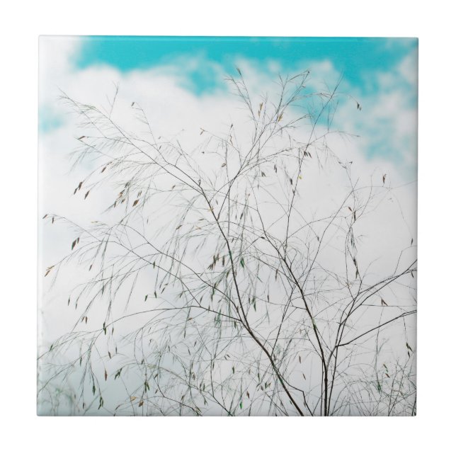Carreau Pâle Pastel Bleu Clair Turquoise Arbre Branches Ci (Devant)