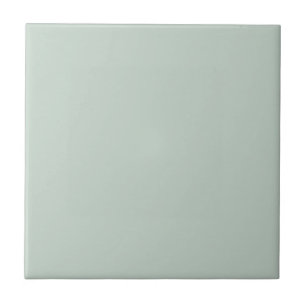 Carreau Pale Pastel Mint Green Solid Color Pairs To SW6456