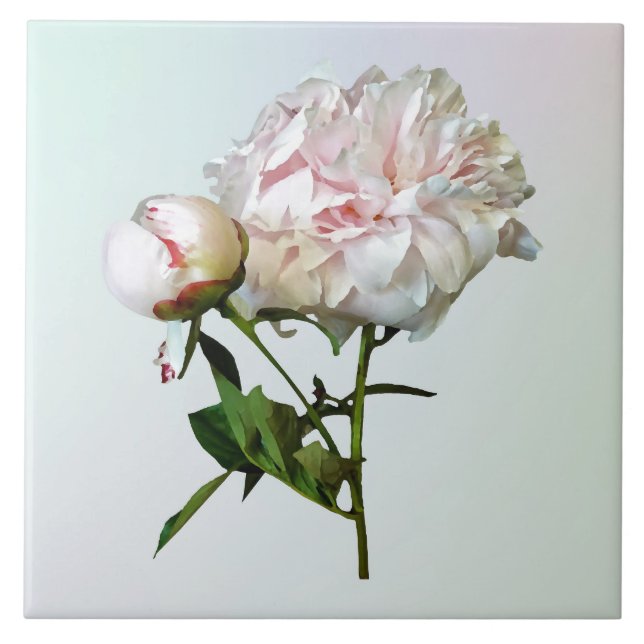 Carreau Pale Pink Peony and Bud (Devant)